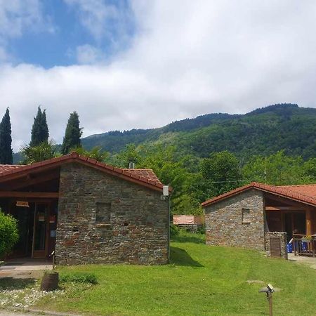 Chalets A 10 Minutes De Foix Mercus-Garrabet Exterior photo